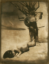   / Комета Галлея