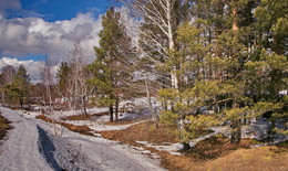АПРЕЛЬСКИМ ДНЕМ / ТОМСКАЯ ОБЛАСТЬ