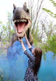 Dinosaurus park / ***