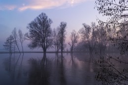 Паводок на реке Псел / Весенний паводок на реке Псел. Прекрасное апрельское утро с туманом!