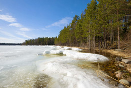 Апрель на берегу Ладожского озера / Апрель на берегу Ладожского озера. Ленинградская область, Приозерский район