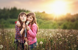 одуванчики / сестренки на поле с одуванчиками