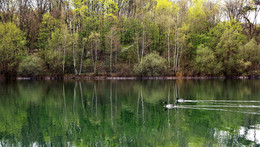 &nbsp; / Спокойствие