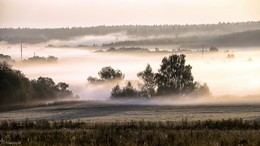Туман в долине реки Москва. / Можайский район.