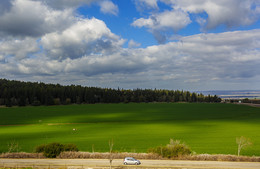 Вроде бы потеплело / Уже весна...все просыпается.