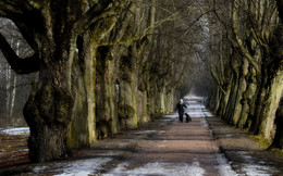 Весенний выгул..... / Петергоф. Самсониевский водовод. Март