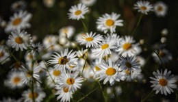 &nbsp; / Скоро лето