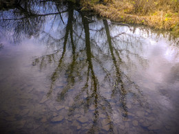 Зазеркалье осени / Зеркальное отражение в воде