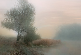 &nbsp; / туман,река,восход