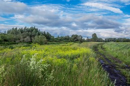после грозы / ***