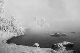плакучие берёзы / снимок сделан на берегу белоярского водохранилища свердловская область