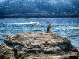 &quot;Вода, вода, кругом вода&quot; / &quot;Вода, вода, кругом вода&quot;