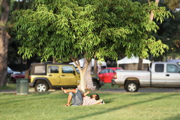 Мечтатель / Человек, отдыхающий в парке