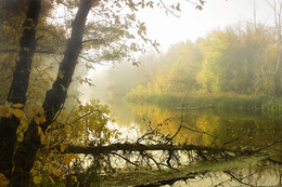   / туман,рассвет