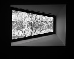 Геометрия весны / Вид из окна МЕТ