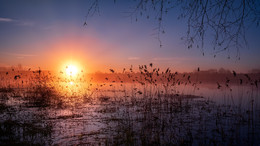Солнце - апельсин / Подъем в 2-00, дорожное время 2-00 и мы на Волге в тумане и рассвете