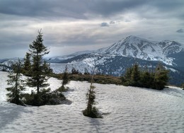 А здесь еще зима… / Вид в направлении г. Петрос при спуске с г. Говерла. 15 апреля 2018 г.

Другие виды этого дня:

[img]https://i.imgur.com/yxCvA2k.jpg[/img]

[img]https://i.imgur.com/obO7UlR.jpg[/img]

[img]https://i.imgur.com/bUTMcZJ.jpg[/img]

Один и тот же ракурс от 31 января и 15 апреля в сравнении:

[img]https://i.imgur.com/TEC9QbC.jpg[/img]

[img]https://i.imgur.com/HXcgXDV.jpg[/img]