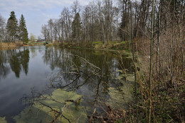 Без названия / Без названия
