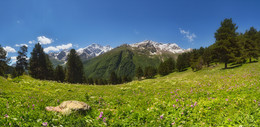 Луга альпийские, горы кавказские... / Приэльбрусье, на горизонте Чегет, Донгуз-орун, Накратау, Большой и Малый Когутай...