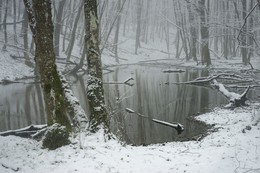 В лесу / Весна,снег,туман