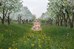 На встречу весне / ***