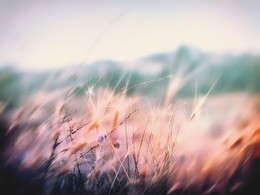 Мечтание / https://www.youtube.com/watch?v=Ta11iuAWEBY