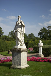 Дама не из Амстердама / Ленинградкая область