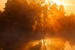 Утренний свет / Калининградская обл.