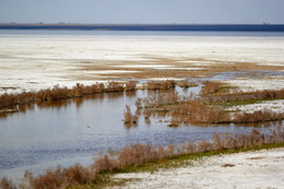   / Эльтон. Микропейзаж впадающего в озеро ручья.