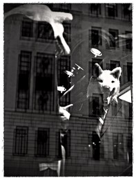 City vibe / Wall Street, NY, из серии &quot;Королевство кривых зеркал&quot;