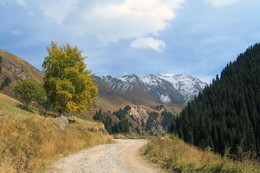 Горная дорога / Большое алматинское ущелье