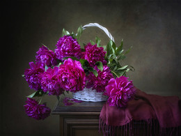 Пурпурные пионы / классический цветочный натюрморт