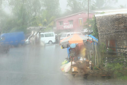 Мадагаскарский ливень-2 / ливень