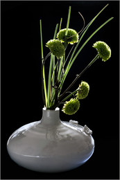 &nbsp; / Натюрморт