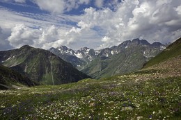 Летом в горах / Кавказский заповедник. Район Имеретинского горного узла.