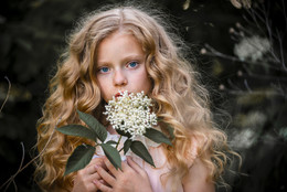 Девочка с цветком / Портрет взрослеющей девочки с цветком бузины