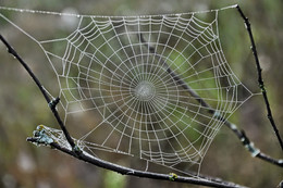 Незаконченная работа / ***