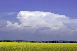 ПРИРОДА САМЫЙ ЛУЧШИЙ ХУДОЖНИК / ветер рисует в облаках человеческие портреты