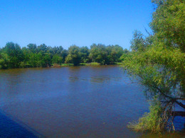 Живописные берега вдоль реки Сухой Рычан / Село Бирюковка, Приволжский район, Астраханская область.