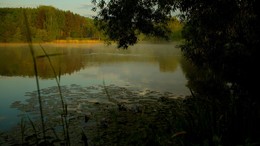 Рассвет у озера / Утренний пейзаж. Этюд.