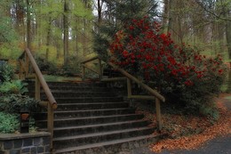 Краски апреля / У лесного родника в апреле . Этюд.