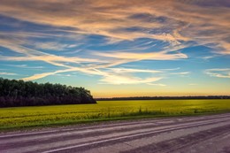 Симфония. / Симфония.