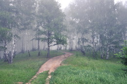 Дорога в туман. / Утро в туманном лесу.