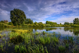 Пруд... / В пойме реки Свияга.