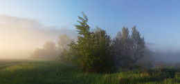 Июньские туманы. / летнее утро, сильный туман