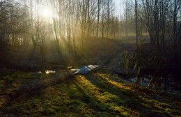 Утром весенним............ / Петербург-Парголово. Апрель