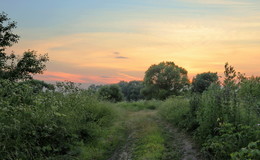 дорога в лето / дорога в лето