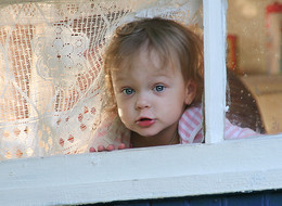 Не из моего окна / дача