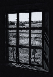 Не из моего окна / ***