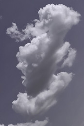 ПРИРОДА САМЫЙ ЛУЧШИЙ ХУДОЖНИК / ветер рисует в облаках человеческие портреты.